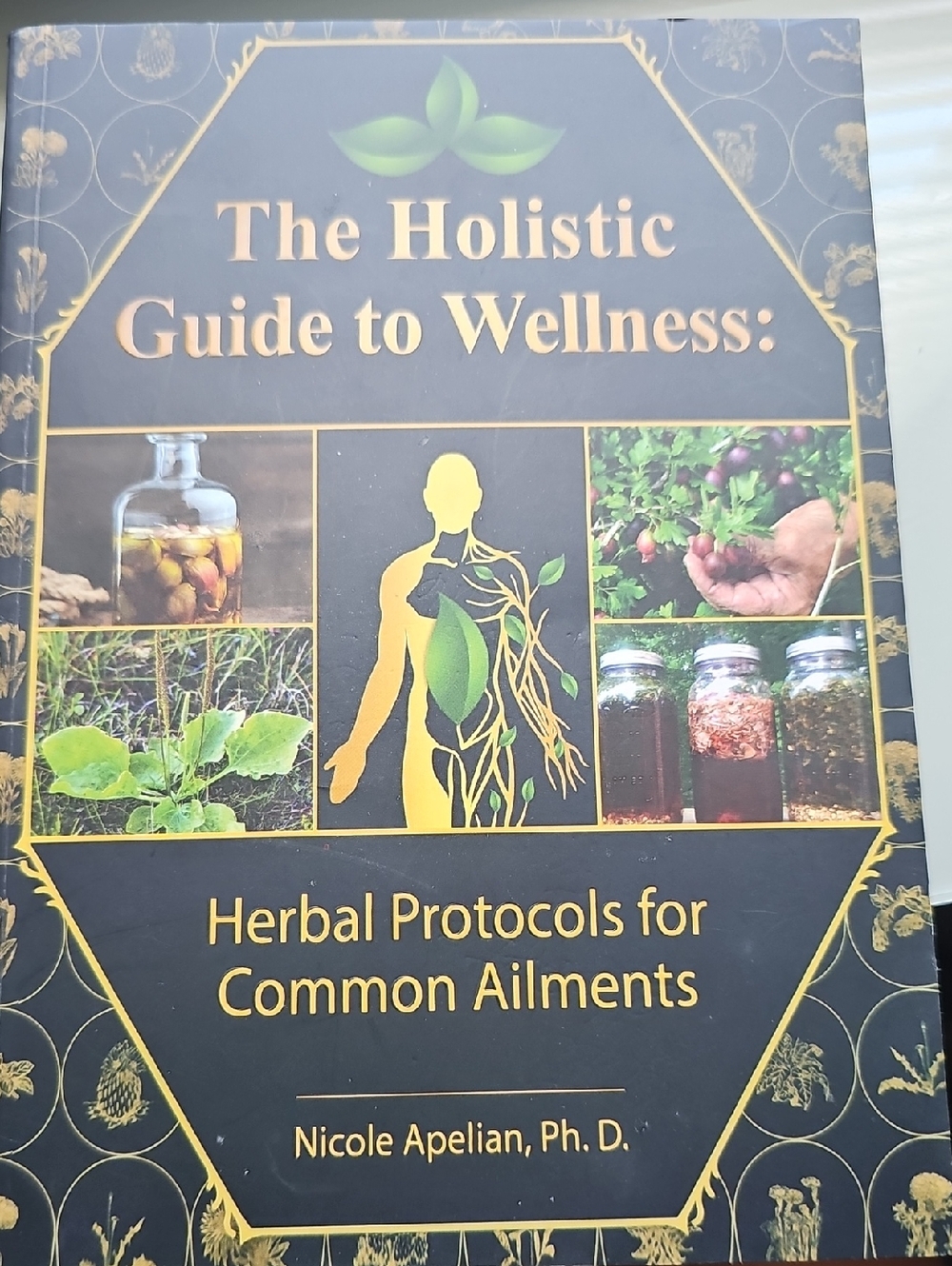 The Holistic Guide to Wellness: Herbal Protocols for Common Ailments - Black